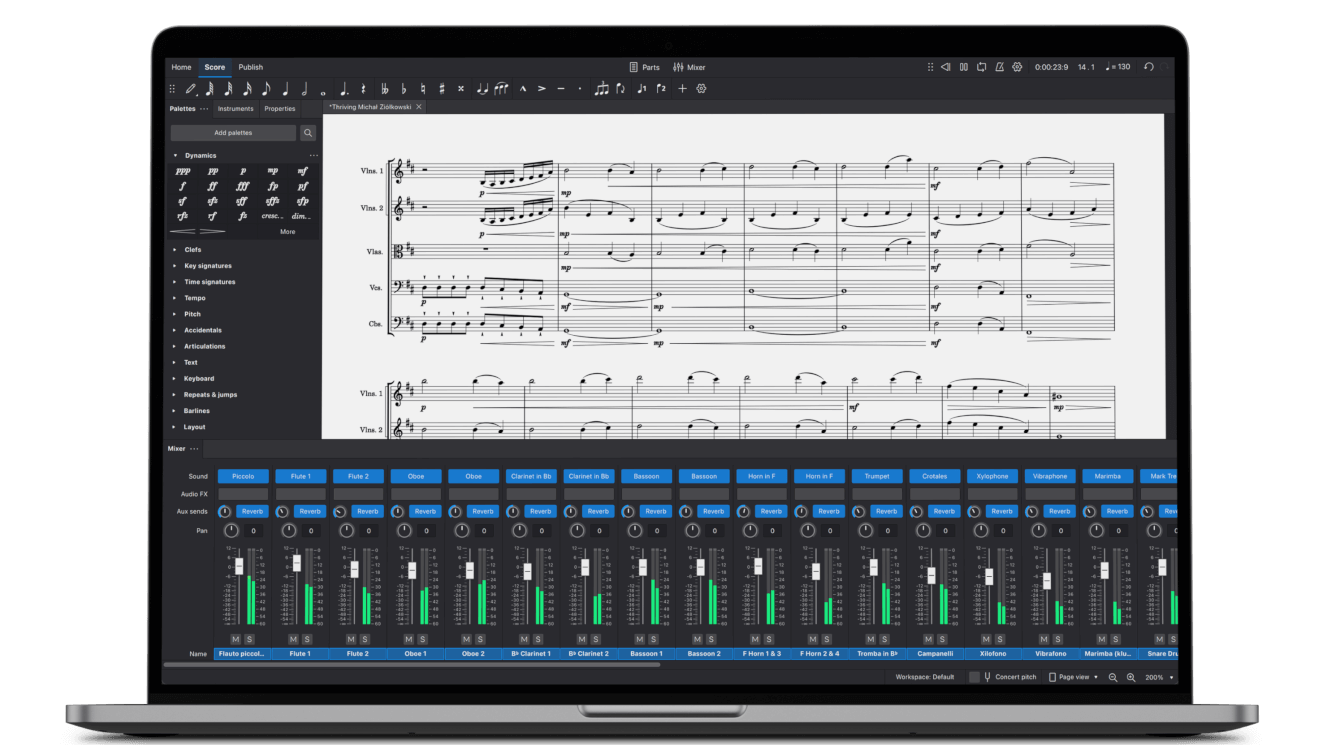 Laptop with Musescore Application